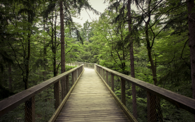 What are your guiding principles?